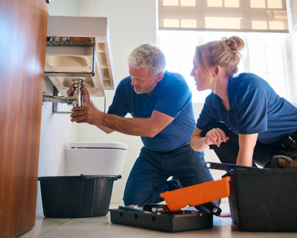 Best Pipe Repair Near Me  in Walnut, IL